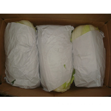 New Crop Fresh Cabbage for Exporting (1.5kg)